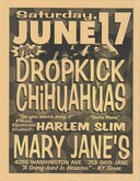 The Dropkick Chihuahuas / Harlem Slim on Jun 17, 2000 [681-small]