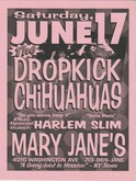 The Dropkick Chihuahuas / Harlem Slim on Jun 17, 2000 [686-small]