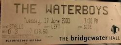 The Waterboys on Jun 17, 2003 [734-small]