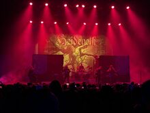 Alestorm / Ensiferum / Tyr / Heidevolk / Elvenking on Jan 19, 2025 [604-small]