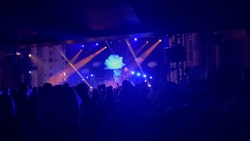 This Wild Life / Belmont / Young Culture on Mar 7, 2025 [724-small]