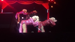 Trixie Mattel / Katya Zamolodchikova / Kelly Mantle on Sep 12, 2022 [826-small]