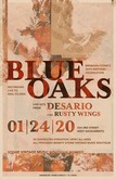 Blue Oaks / Desario / Rusty Wings on Jan 24, 2020 [876-small]