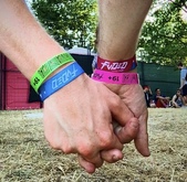 FVDED In The Park 2015 on Jul 3, 2015 [952-small]