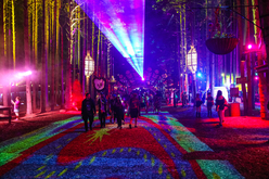 Electric Forest  on Jun 29, 2019 [203-small]