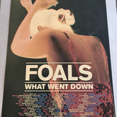 tags: Foals, Aberdeen, Scotland, United Kingdom, Advertisement, Gig Poster, Music Hall - Foals / Real Lies on Nov 10, 2015 [698-small]