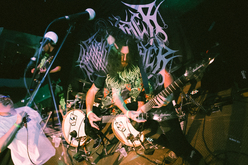 Bottom Feeders / Snake Father / Yosemite In Black / Noxious / Heavy is the Head / Disposed on Feb 25, 2023 [644-small]