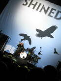 Saving Abel / Shinedown / Buckcherry / Avenged Sevenfold on Nov 22, 2008 [260-small]