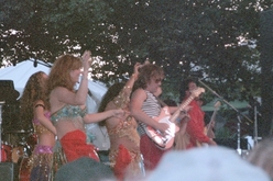 The Red Elvises on Sep 3, 2001 [290-small]