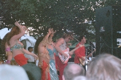 The Red Elvises on Sep 3, 2001 [292-small]