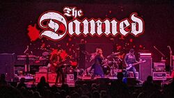Blondie / The Damned on Aug 26, 2022 [963-small]