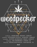 Weedpecker on Sep 1, 2024 [344-small]