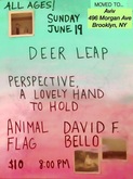 Deer Leap / Perspective, A Lovely Hand To Hold / Animal Flag / David F. Bello on Jun 17, 2016 [996-small]