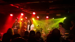 Colour of Noise / Toseland on Mar 16, 2016 [713-small]