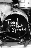 Toad the Wet Sprocket / Gin Blossoms / Vertical Horizon on Aug 20, 2024 [477-small]