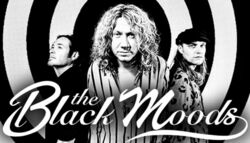 The Black Moods / Royal Bliss on May 26, 2024 [252-small]