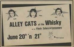 Alley Cats / Flesh Eaters / Consumers on Jun 20, 1978 [382-small]